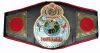 materiel boxe-ceinture champion