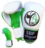 Starter muay Thai gants