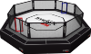 Octogone UFC rules