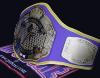ceinture-champion-boxe-francaise-savate-mauve