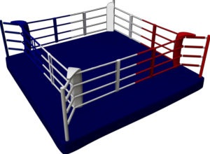 Ring-boxe-plancher 30cm