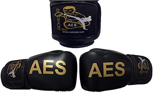 GANTS DE BOXE CLUB AES