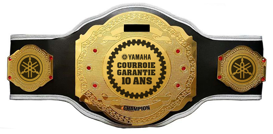 RPS BOXE - Ceinture de champion personnalisable – Image 6