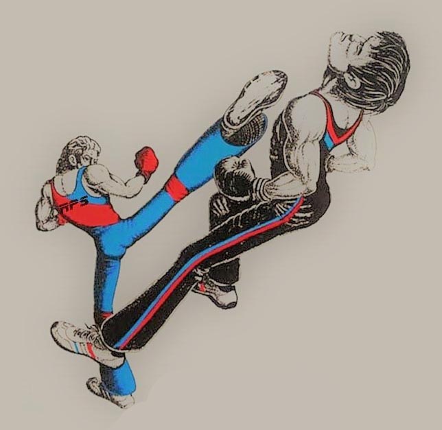 Savate Boxe Française Courtry