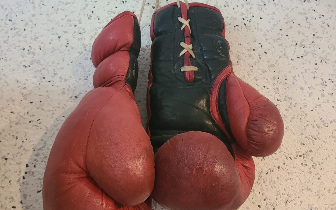 Histoire matériel boxe France depuis 1986