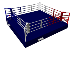 La salle de boxe - RPS Boxe