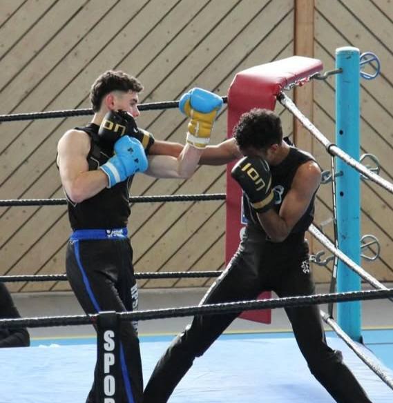 Boxe anglaise 1